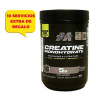 Creatina Platinum MuscleTech 450 g Monohidratada 100% Original